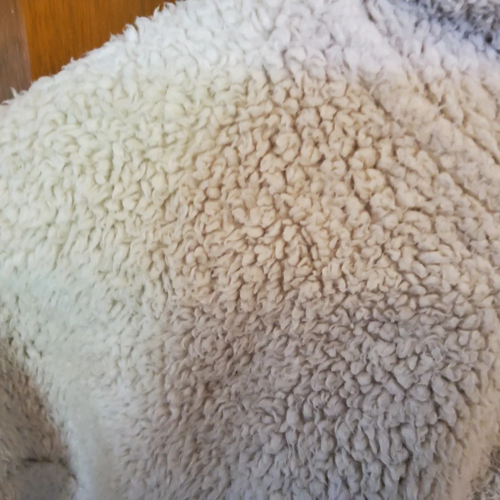 The North Face Kids White Fleece Jacket